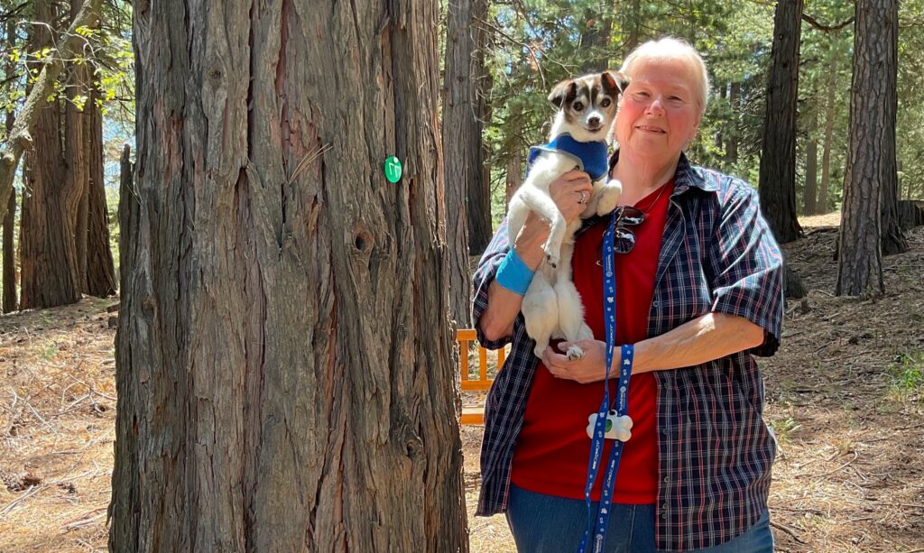 A woman holds her small dog next to her memorial tree in better place forest memorial forest, for people and pets.